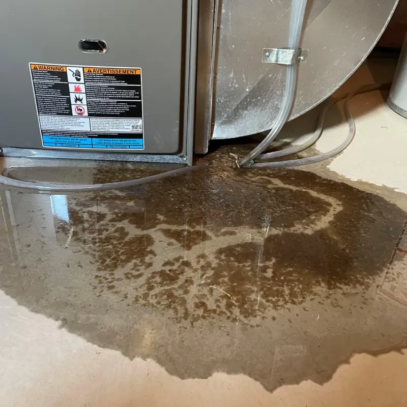 Appliance Leak Cleanup in Pine Level, NC